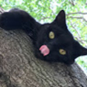 Meet your Posher, Fermin